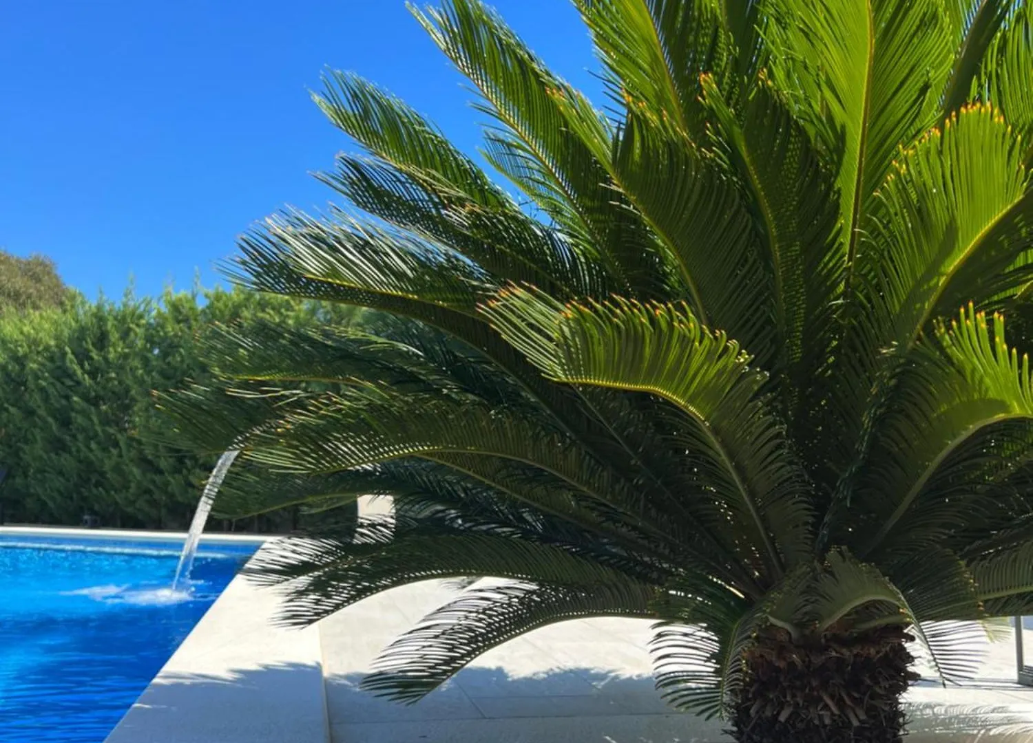 Holiday Luxury Resort Sundance Trogir